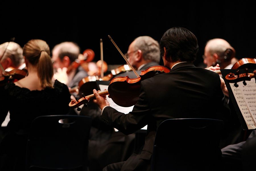 Instrumentos de cuerda frotada