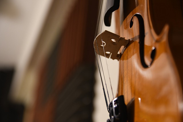 elegir cuerdas para violin