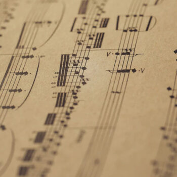 cuales son las notas musicales