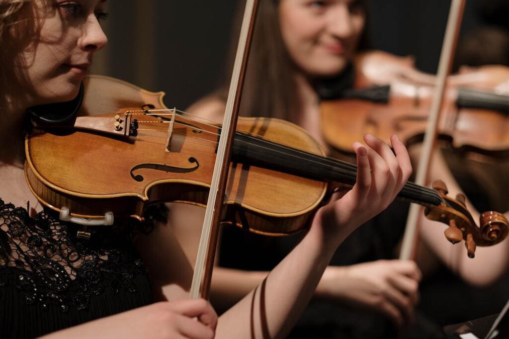 consejos para comprar un violín elegir un violín