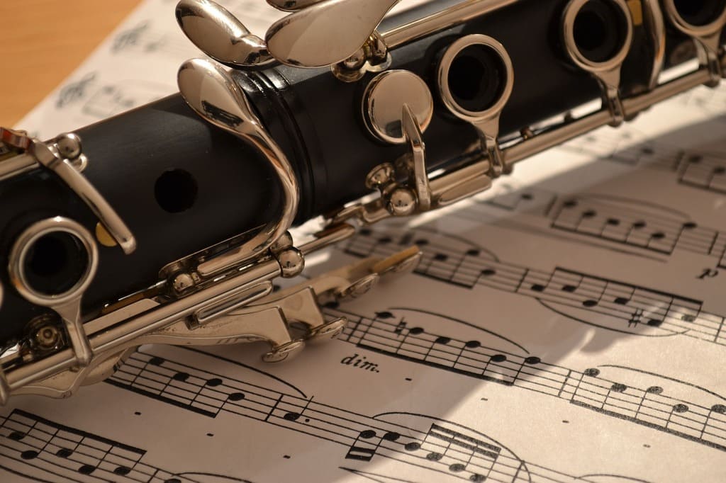 Qué clarinete comprar Guía para encontrar el clarinete perfecto