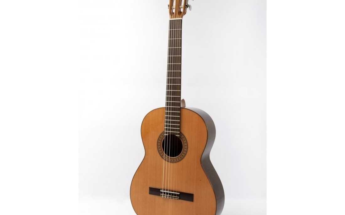 guitarra raimundo 118
