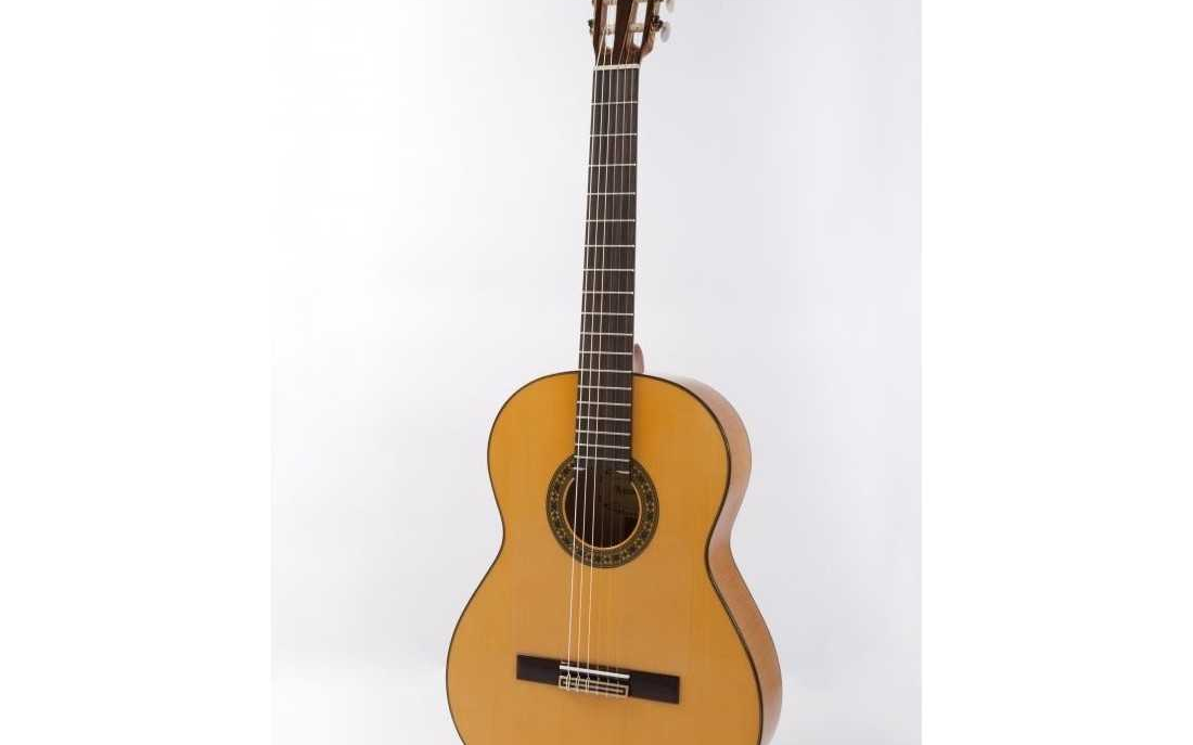 guitarra raimundo 125