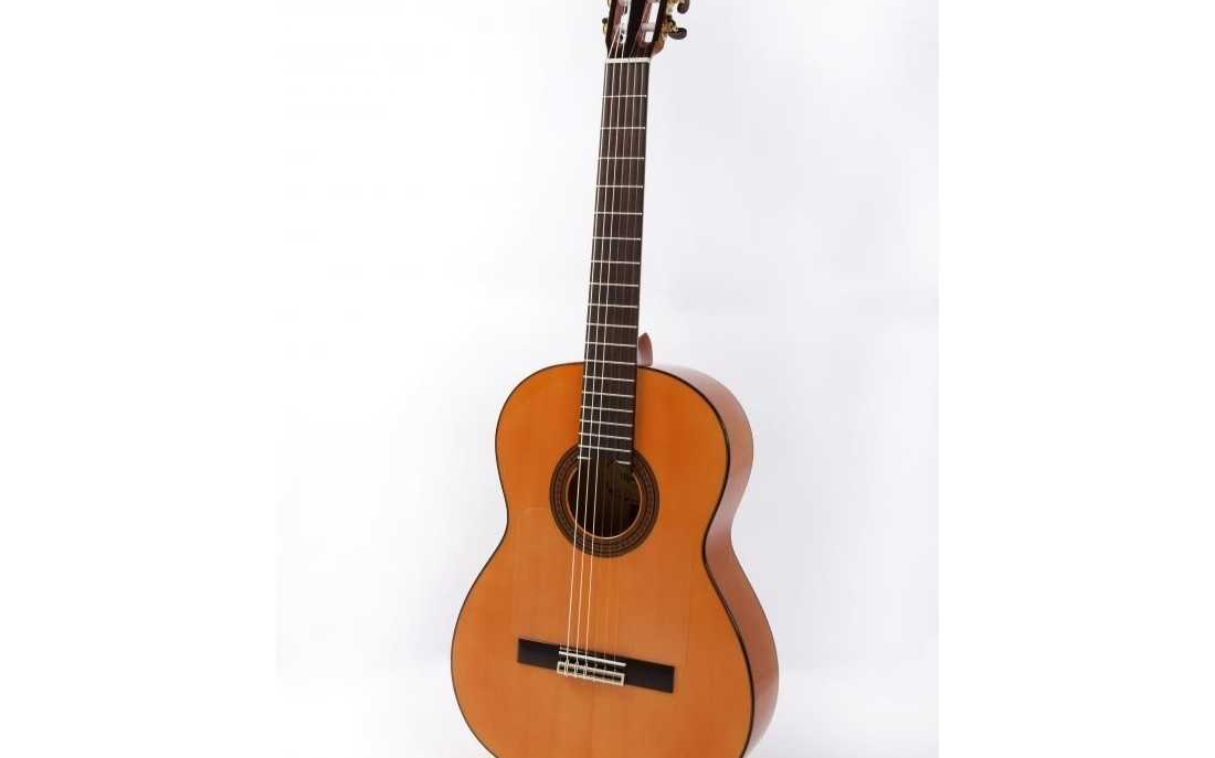 guitarra raimundo 126