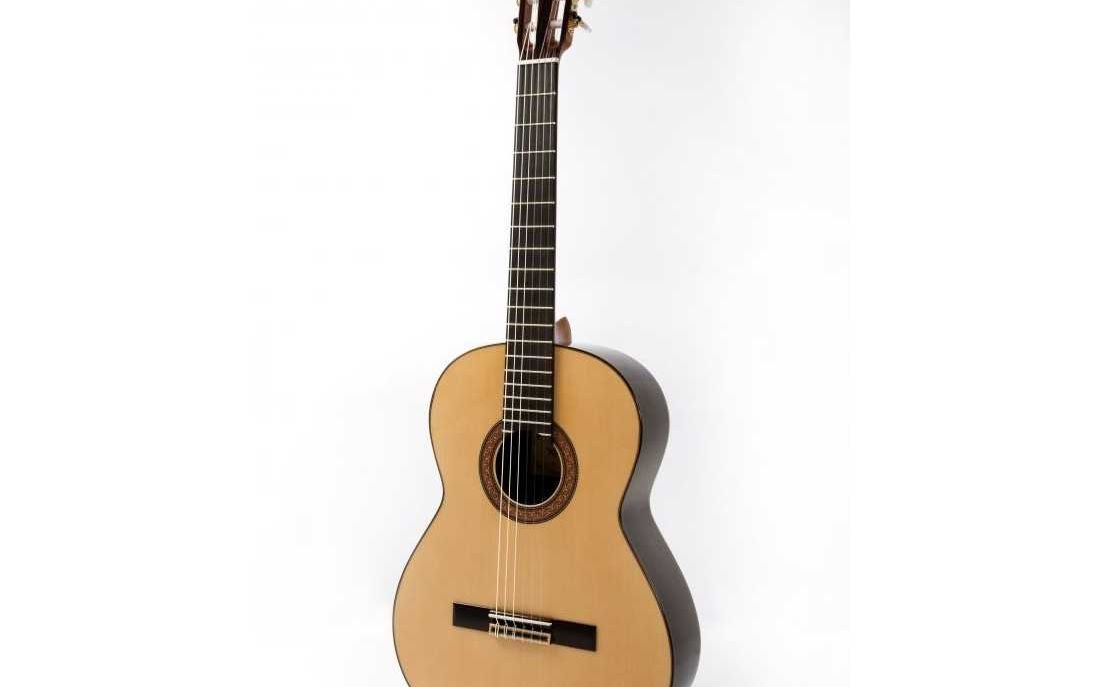 guitarra raimundo 130