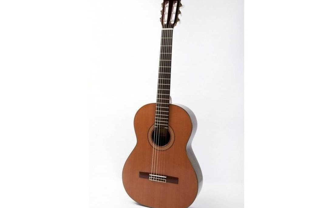 guitarra raimundo 150