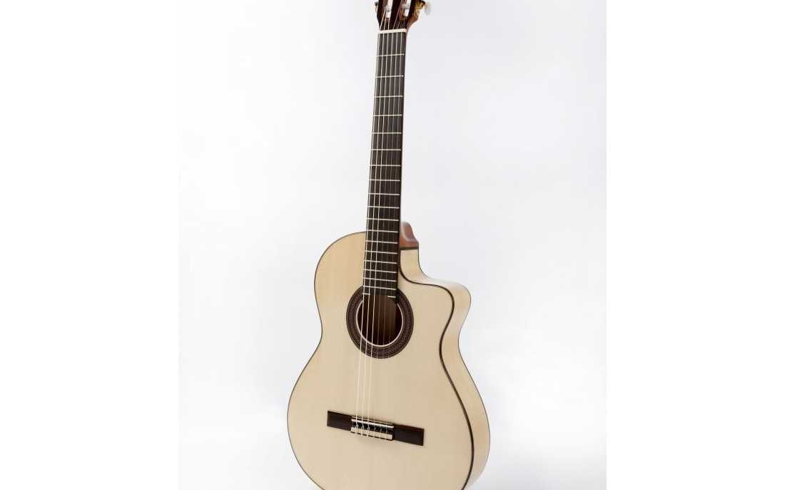 guitarra raimundo 630E