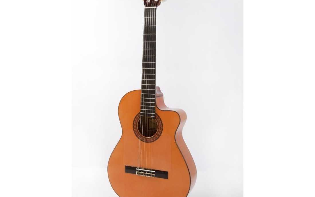 guitarra raimundo 646E