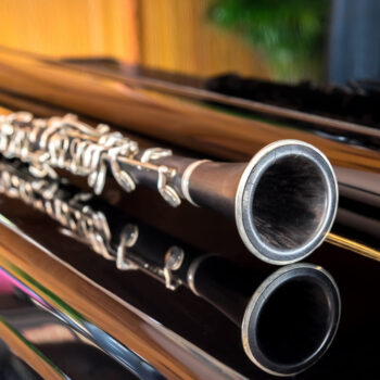 Cuál es la mejor boquilla para clarinete